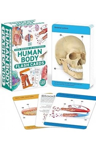 Our World in Pictures Human Body Flash Cards